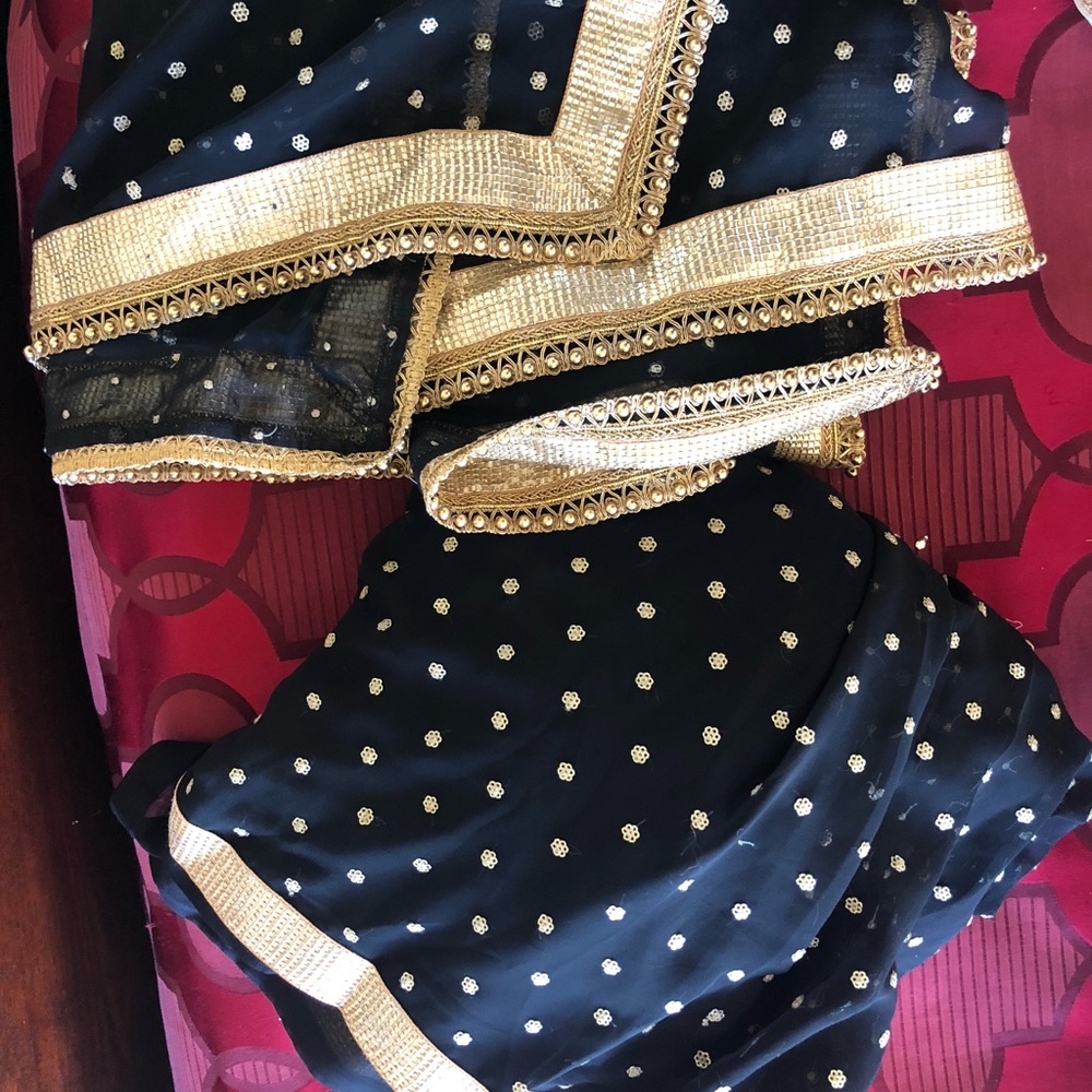 Indian Pakistani gharara/ sharara Pants and chunni only NWOT